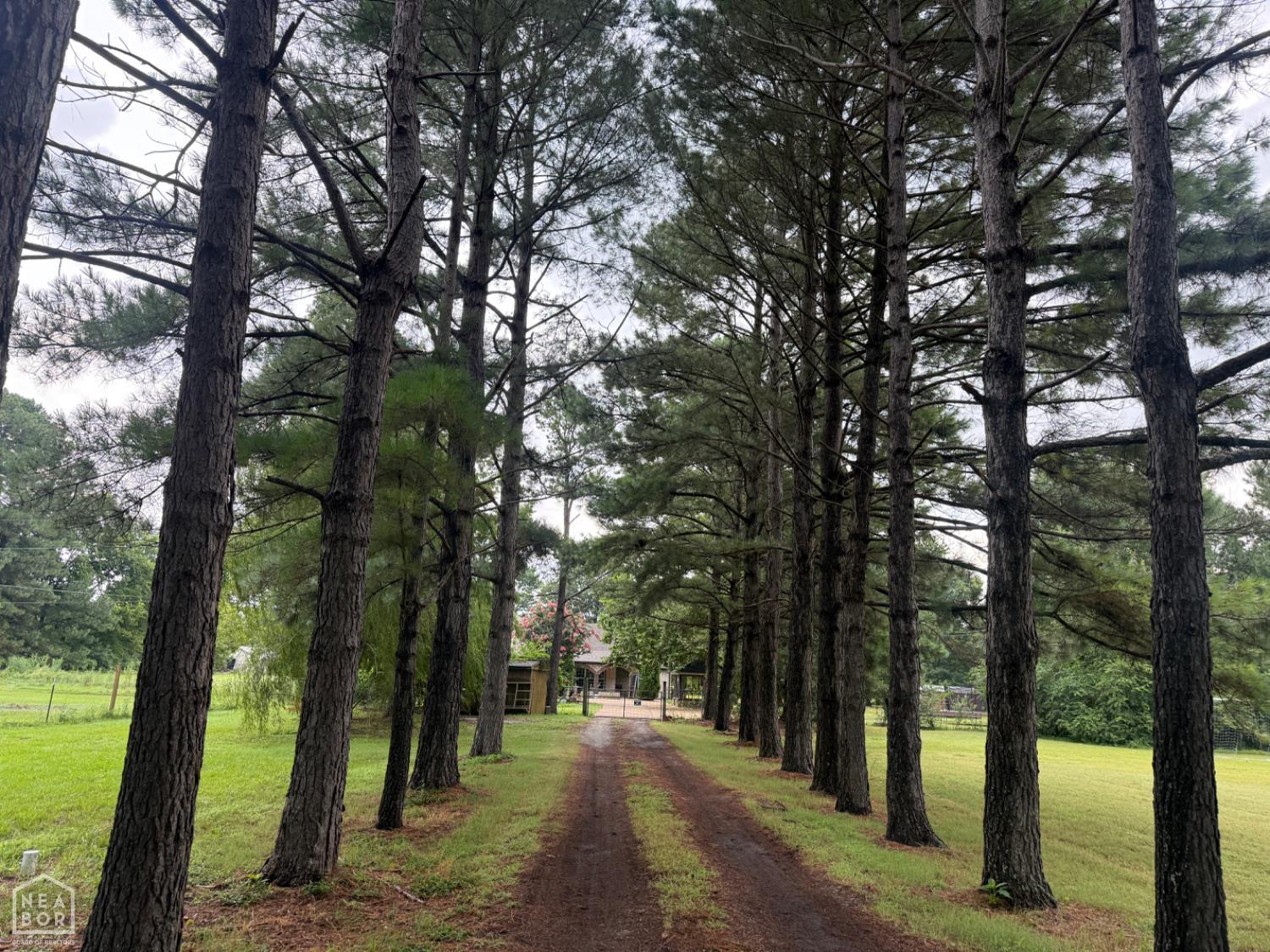 3220 Horseshoe Trails