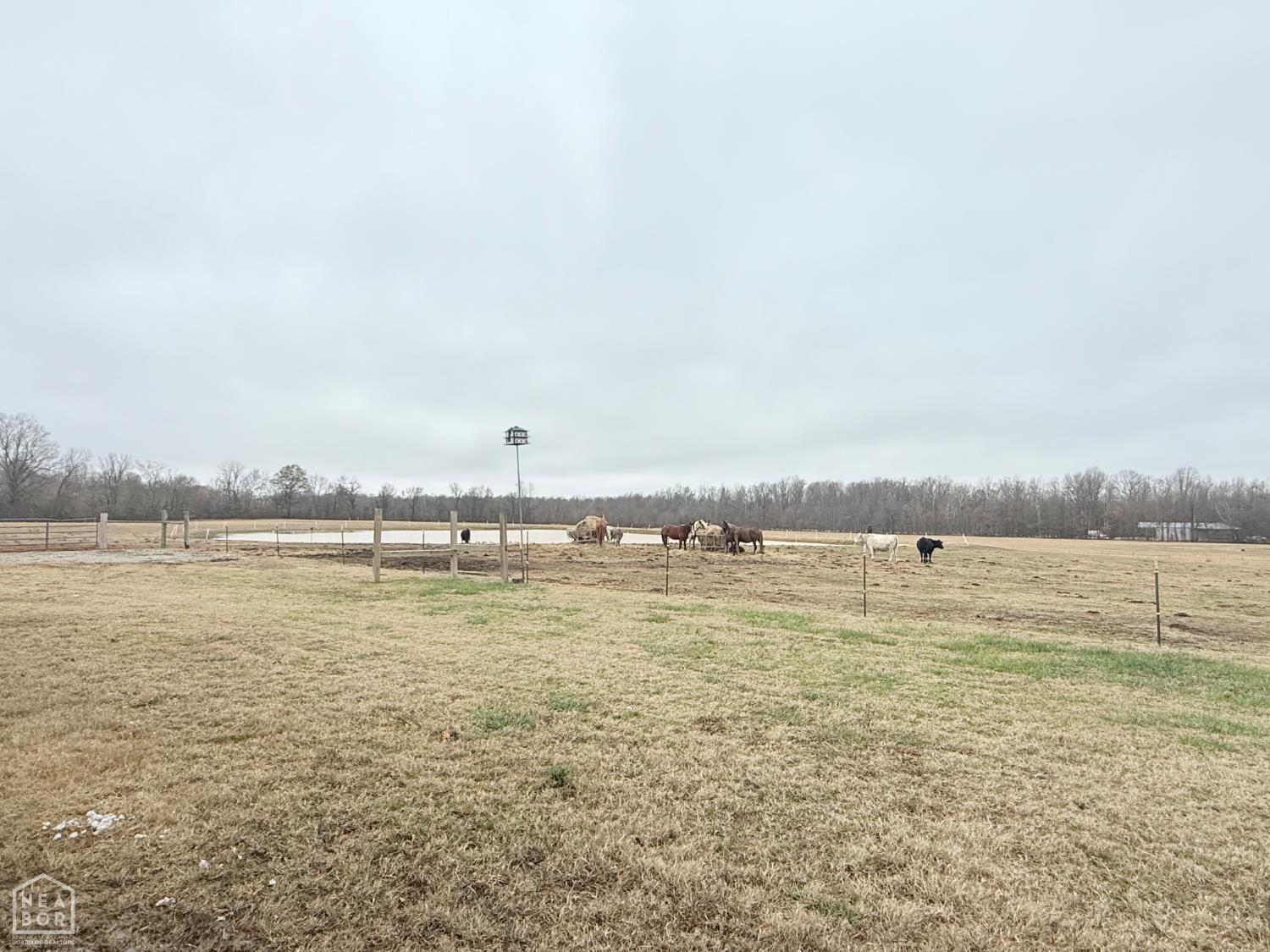 1323 County Road 304