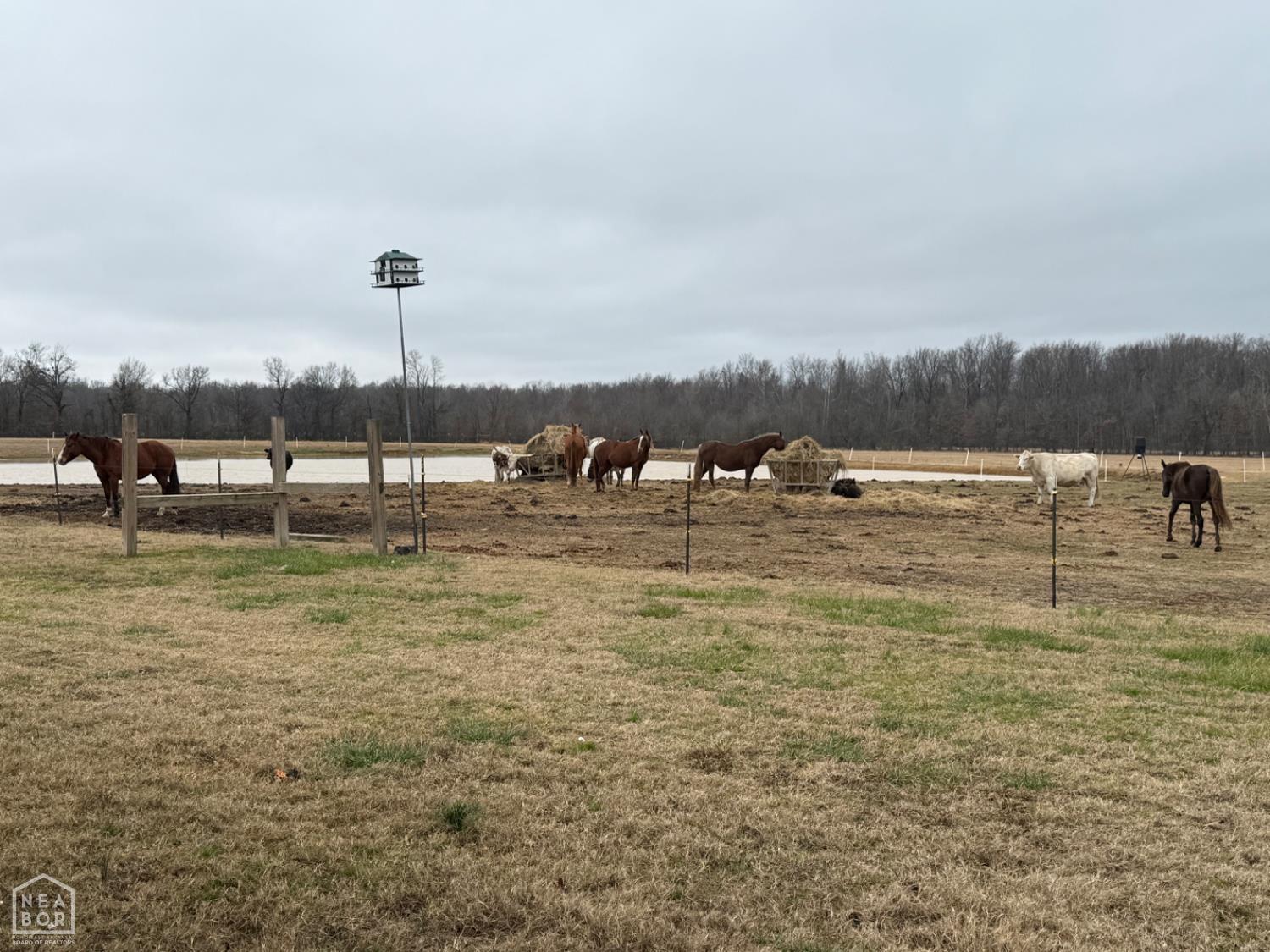 1323 County Road 304