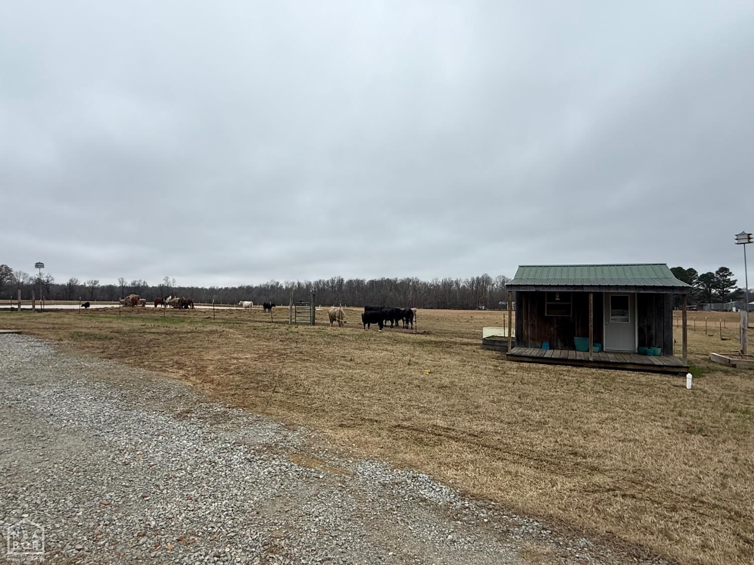 1323 County Road 304